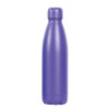 Purple Economy 720mL Metal Bottles